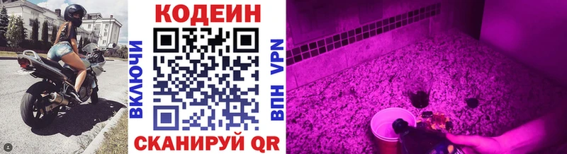 Codein Purple Drank  Болотное 