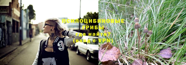 кристаллы Богданович