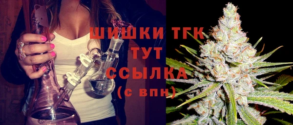 МДПВ Кукмор